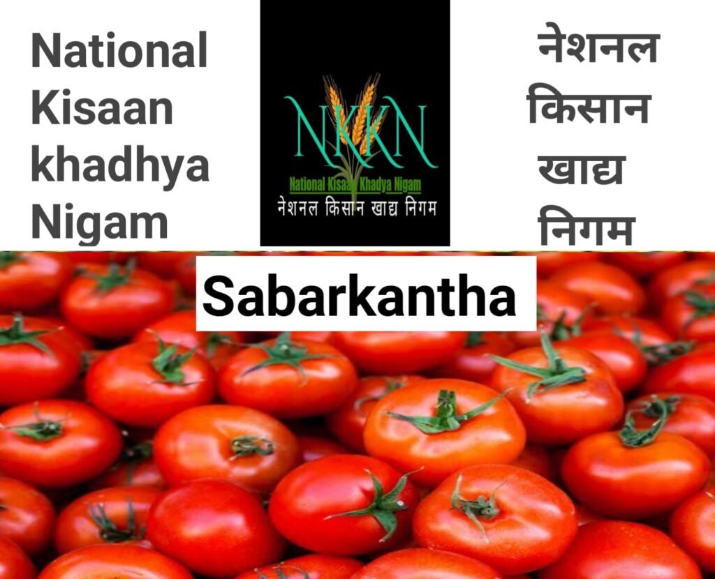 NKKN: National Kisaan Khadya Nigam Processing Unit in  Sabarkantha District of GUJARAT