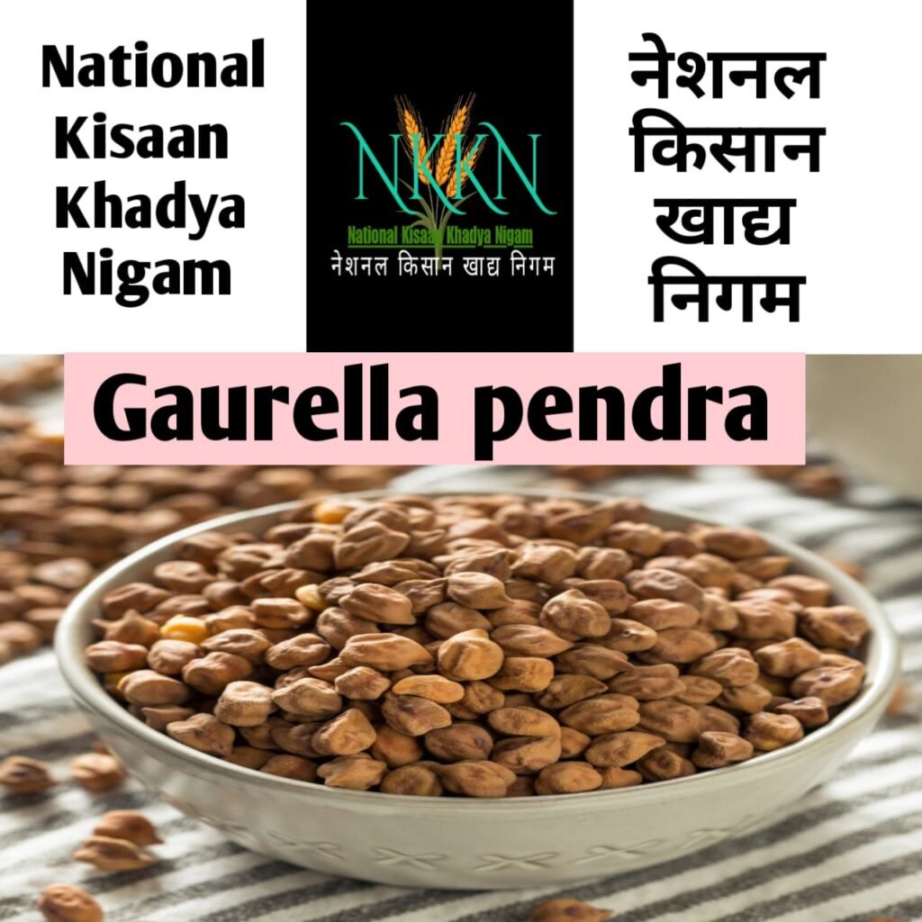 NKKN: National Kisaan Khadya Nigam Processing Unit in Gaurella-Pendra-Marwahi District CHHATTISGARH